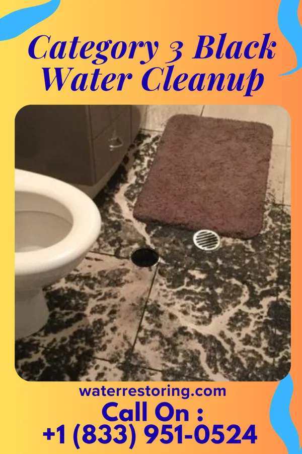 Category 3 Black Water Cleanup in Ten Mile Creek, MD