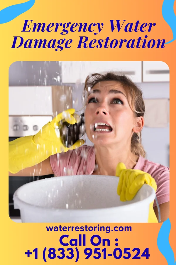 Emergency Water Damage Restoration in Ten Mile Creek, MD